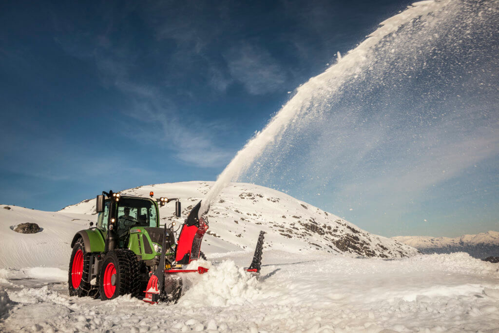 Découvrir nos fraises à neige